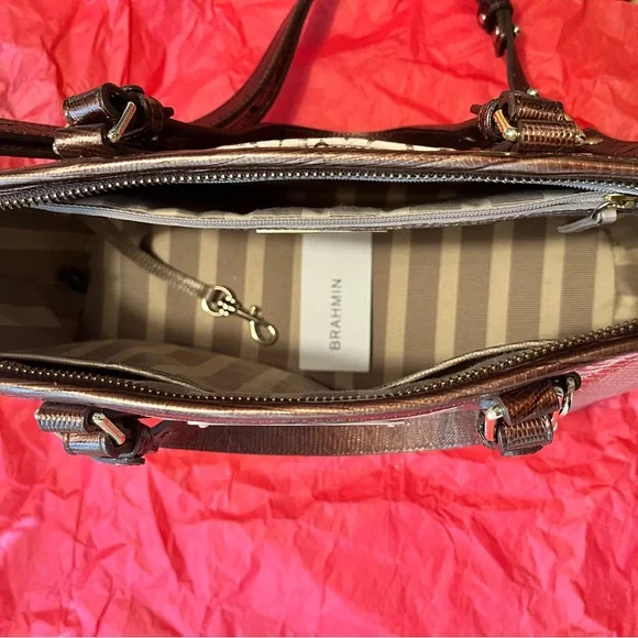 Brahmin Mini Asher Ray Artemisa satchel